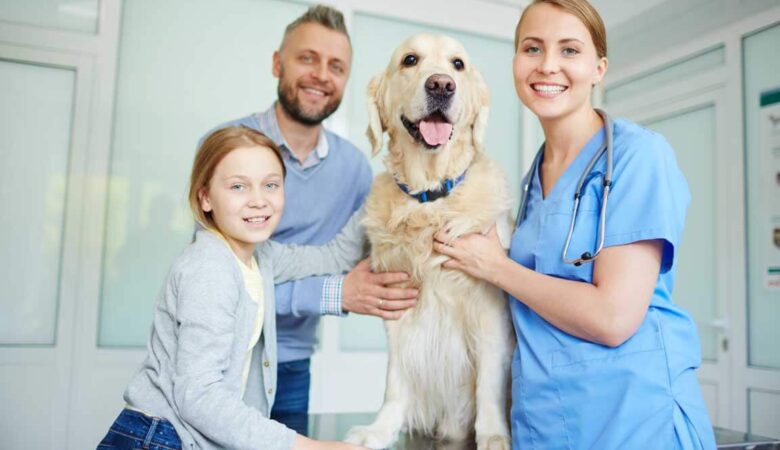 Why Preventive Veterinary Care Is Essential for Your Pet’s Long-Term Health